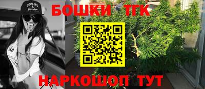 гашик Ливны