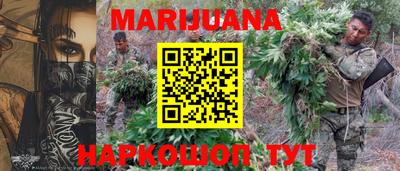 гашик Ливны