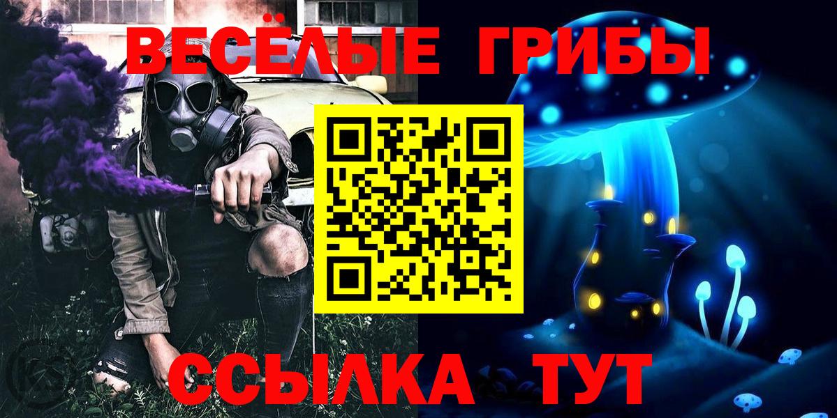 Галлюциногенные грибы GOLDEN TEACHER  Вход с VPN  Шатура 